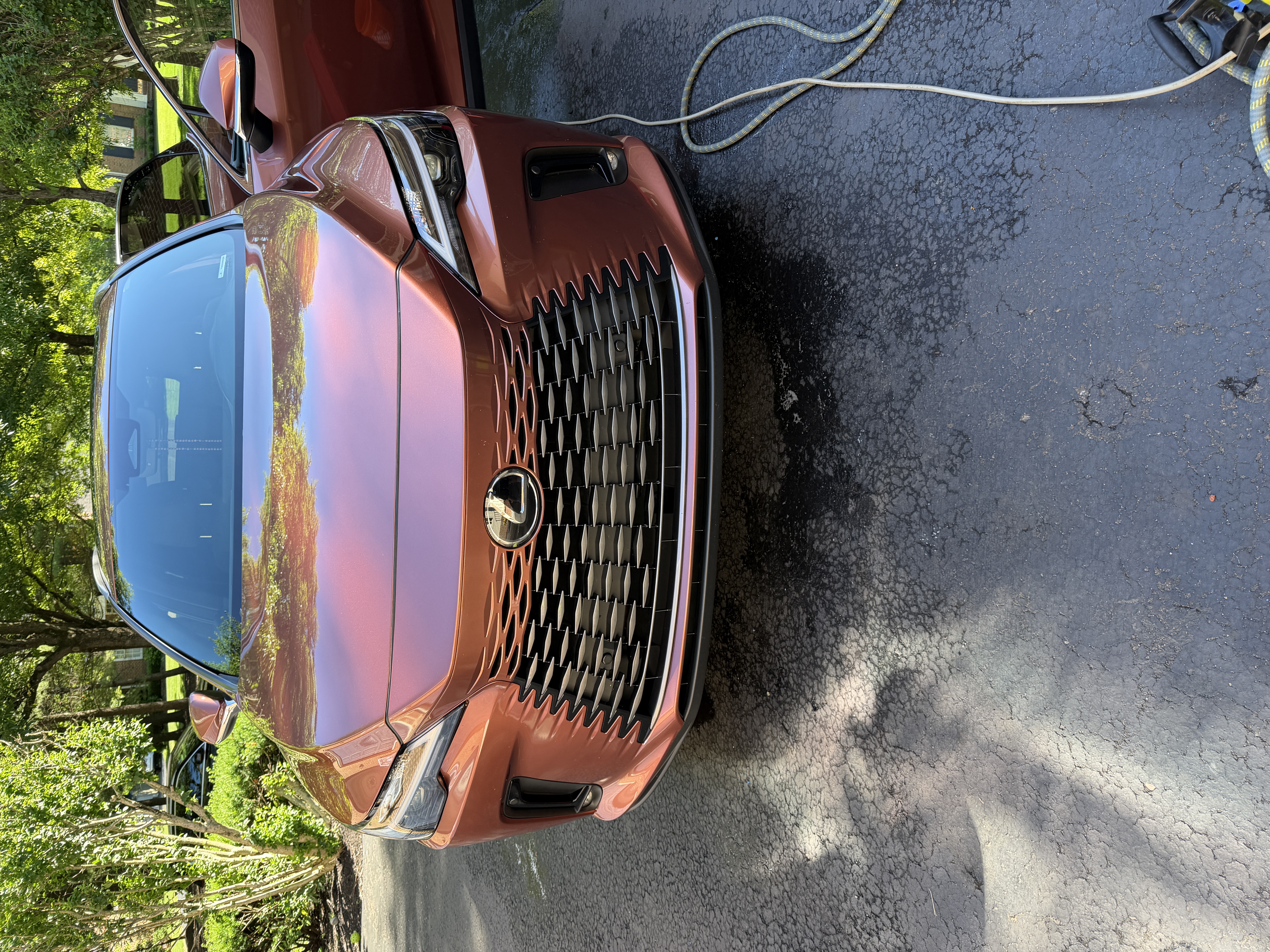 Lexus front exterior after cleaning
